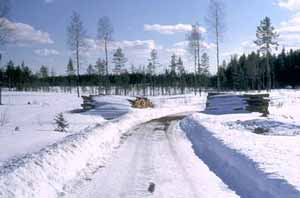 soidensuojelualueen reunahakkuuta Kurussa talvella 2000