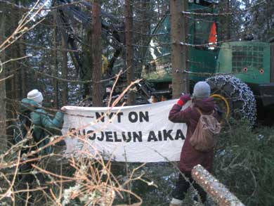 Luonnonsuojelijat puolustavat metsää Metsähallituksen hakkuilta Keihäsjärvellä (c) Luonto-Liitto